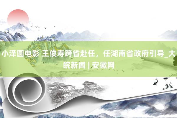 小泽圆电影 王俊寿跨省赴任，任湖南省政府引导_大皖新闻 | 安徽网