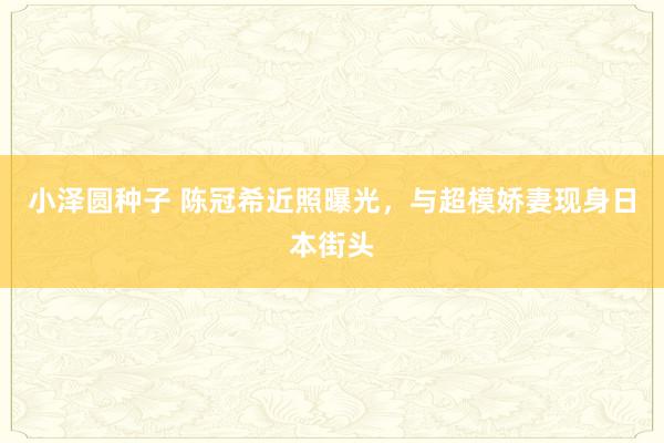 小泽圆种子 陈冠希近照曝光，与超模娇妻现身日本街头