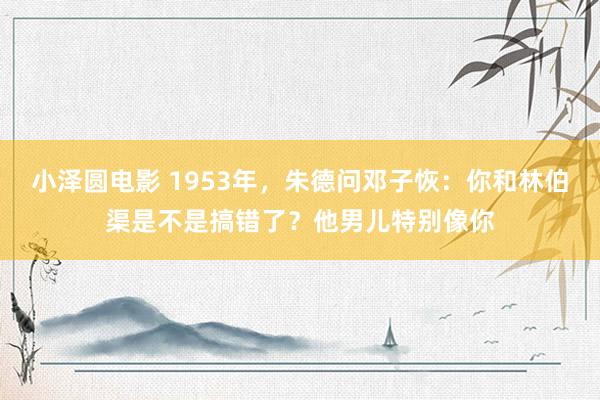 小泽圆电影 1953年，朱德问邓子恢：你和林伯渠是不是搞错了？他男儿特别像你