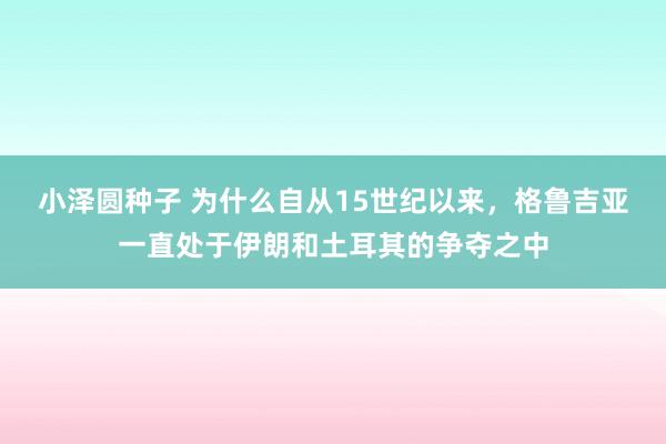 小泽圆种子 为什么自从15世纪以来，格鲁吉亚一直处于伊朗和土耳其的争夺之中