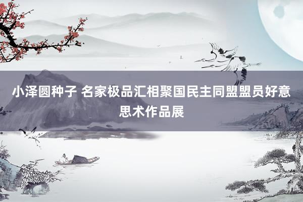 小泽圆种子 名家极品汇相聚国民主同盟盟员好意思术作品展
