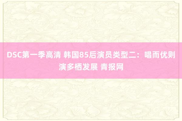 DSC第一季高清 韩国85后演员类型二：唱而优则演多栖发展 青报网