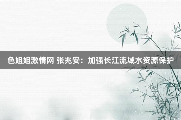 色姐姐激情网 张兆安:加强长江流域水资源保护