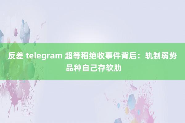 反差 telegram 超等稻绝收事件背后：轨制弱势 品种自己存软肋