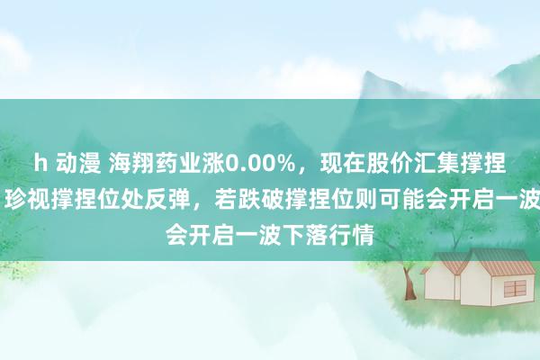 h 动漫 海翔药业涨0.00%，现在股价汇集撑捏位4.67，珍视撑捏位处反弹，若跌破撑捏位则可能会开启一波下落行情