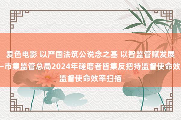 爱色电影 以严国法筑公说念之基 以智监管赋发展之势——市集监管总局2024年磋磨者皆集反把持监督使命效率扫描