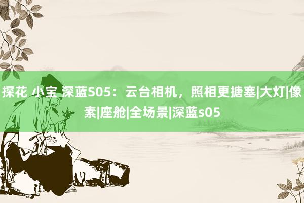探花 小宝 深蓝S05：云台相机，照相更搪塞|大灯|像素|座舱|全场景|深蓝s05