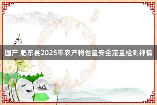 国产 肥东县2025年农产物性量安全定量检测神情