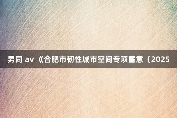 男同 av 《合肥市韧性城市空间专项蓄意（2025