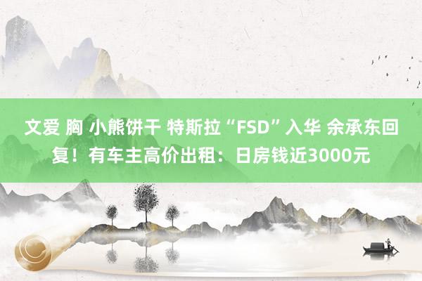 文爱 胸 小熊饼干 特斯拉“FSD”入华 余承东回复！有车主高价出租：日房钱近3000元