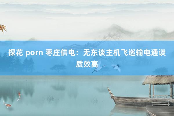 探花 porn 枣庄供电：无东谈主机飞巡输电通谈质效高