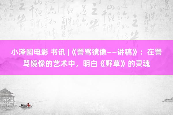 小泽圆电影 书讯 |《詈骂镜像——讲稿》：在詈骂镜像的艺术中，明白《野草》的灵魂