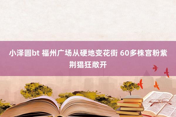 小泽圆bt 福州广场从硬地变花街 60多株宫粉紫荆猖狂敞开