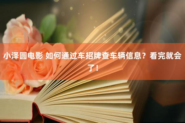 小泽圆电影 如何通过车招牌查车辆信息？看完就会了！