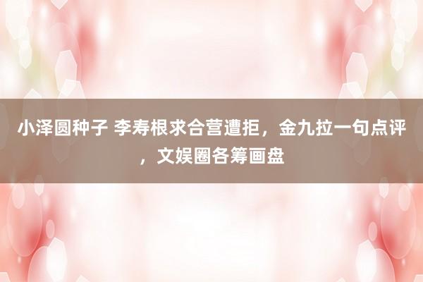 小泽圆种子 李寿根求合营遭拒，金九拉一句点评，文娱圈各筹画盘