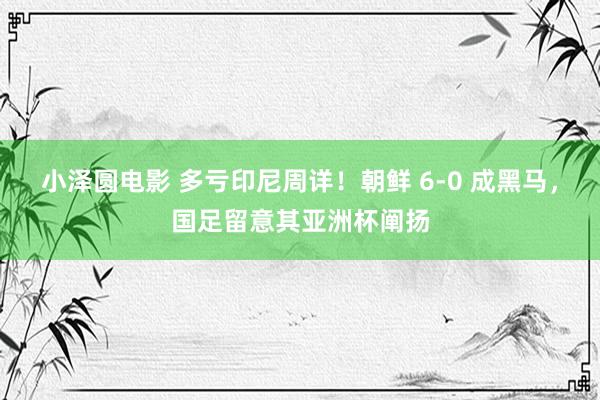 小泽圆电影 多亏印尼周详！朝鲜 6-0 成黑马，国足留意其亚洲杯阐扬
