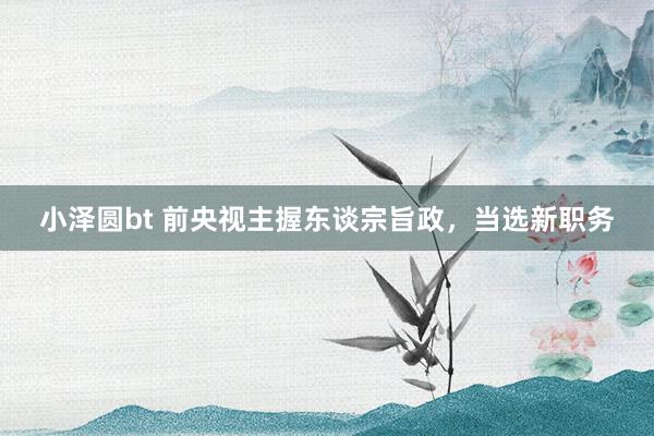 小泽圆bt 前央视主握东谈宗旨政，当选新职务