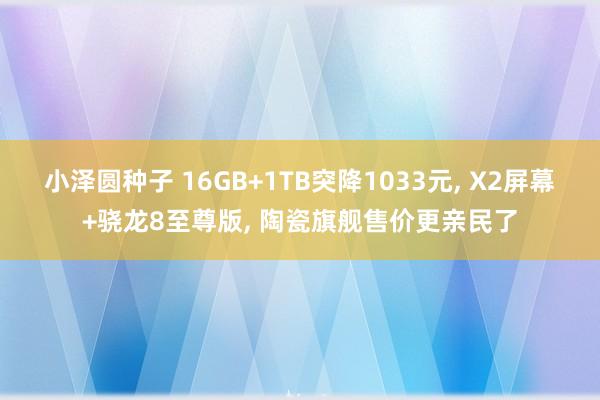 小泽圆种子 16GB+1TB突降1033元， X2屏幕+骁龙8至尊版， 陶瓷旗舰售价更亲民了