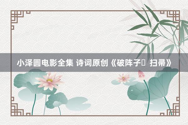 小泽圆电影全集 诗词原创《破阵子・扫帚》