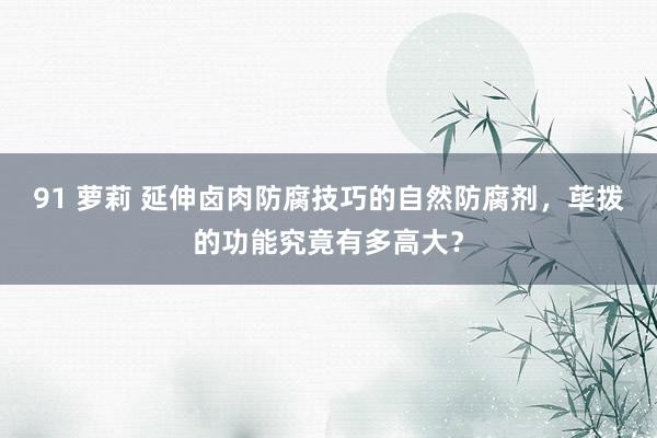 91 萝莉 延伸卤肉防腐技巧的自然防腐剂，荜拨的功能究竟有多高大？