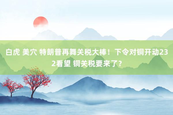 白虎 美穴 特朗普再舞关税大棒！下令对铜开动232看望 铜关税要来了？