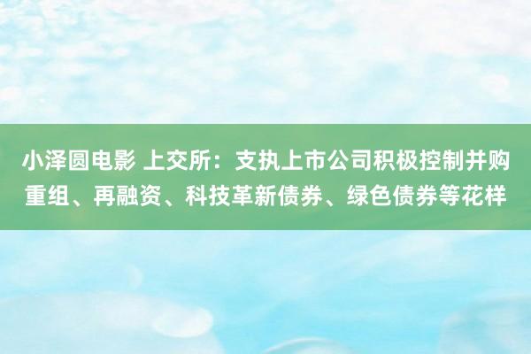 小泽圆电影 上交所：支执上市公司积极控制并购重组、再融资、科技革新债券、绿色债券等花样